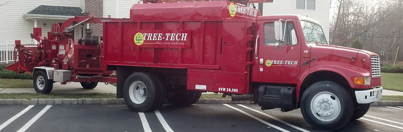 Tree Removal, Pruning, Fertlization, Insect and disease control with TREE-TECH’s sophisticated equipment